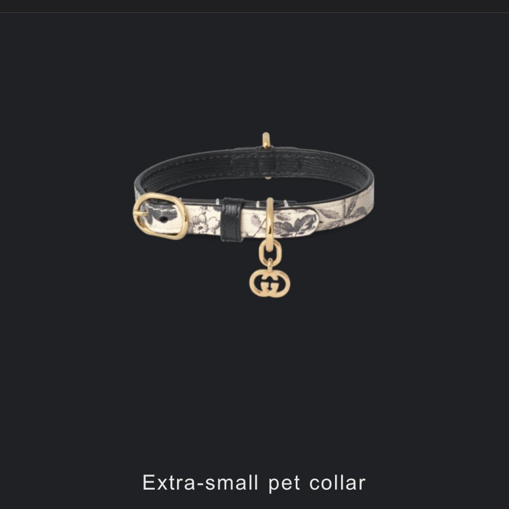 Gucci Pet Collar